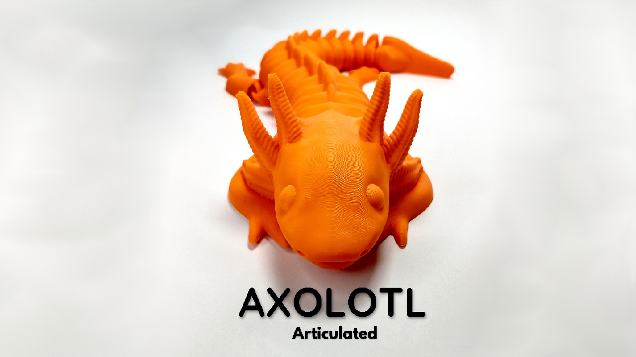 ARTICULATED AXOLOTL