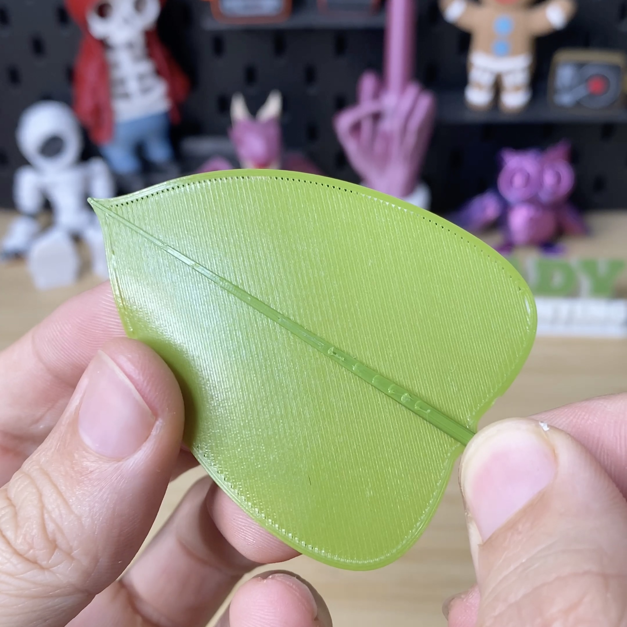 Articulating Pothos Plant